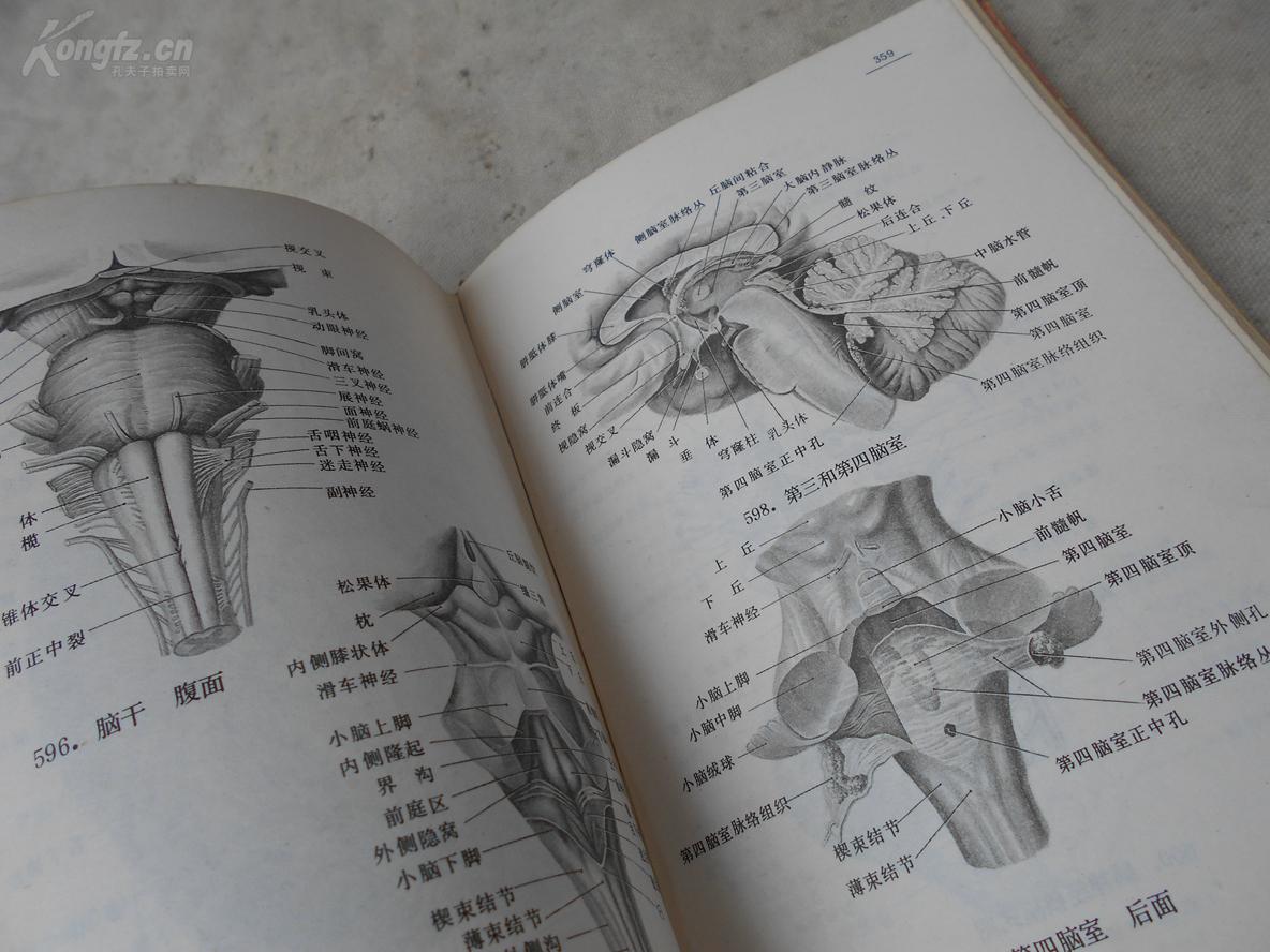 新澳门特免费大全_准确资料解剖落实_尊贵版185.156.141.26