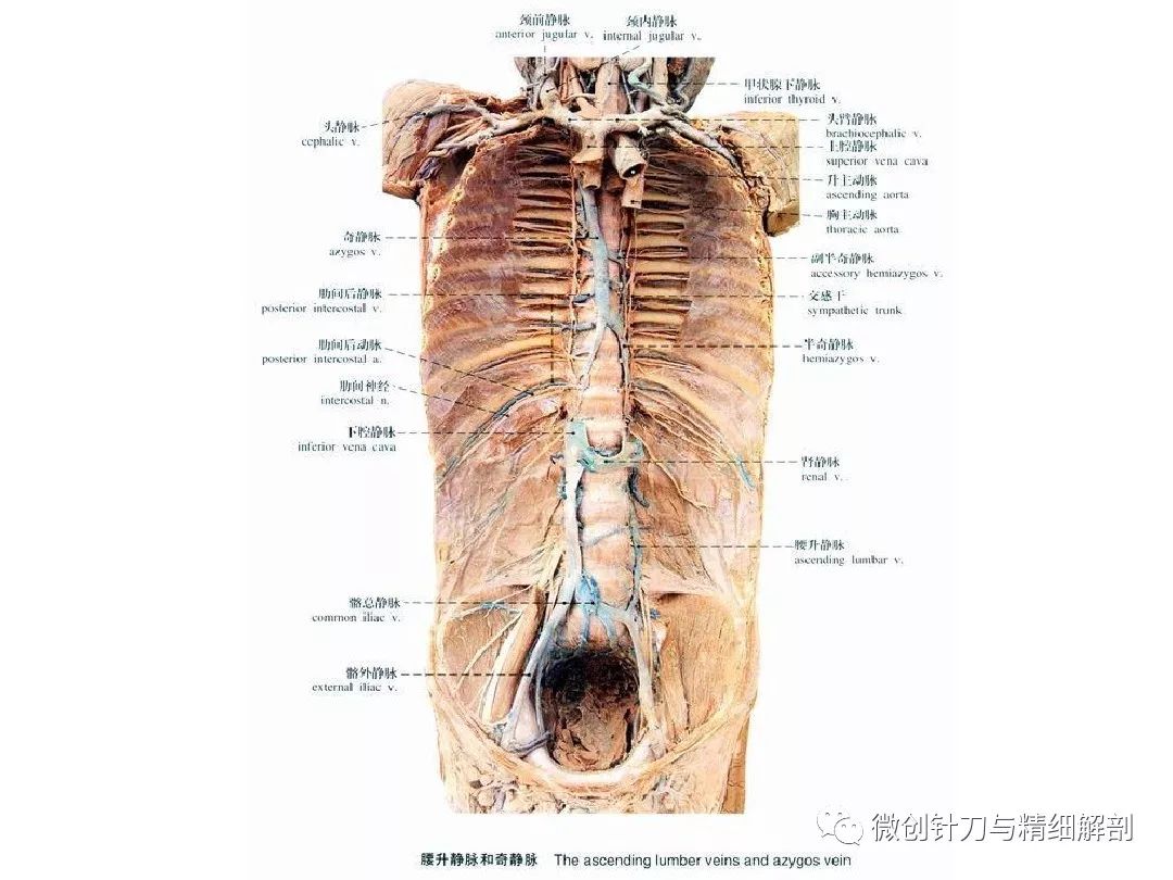 新奥资料免费精准期期准_最新正品解剖落实_尊贵版142.180.196.251